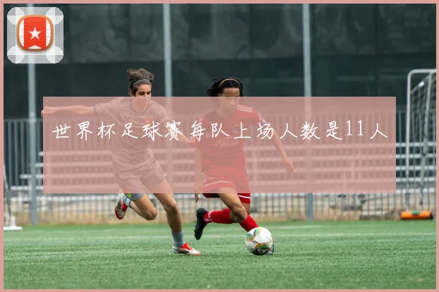 世界杯足球赛每队上场人数是11人