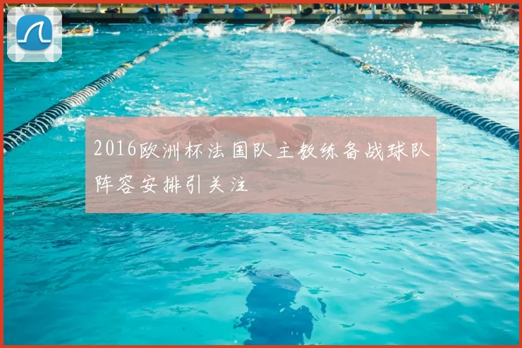 2016欧洲杯法国队主教练备战球队阵容安排引关注