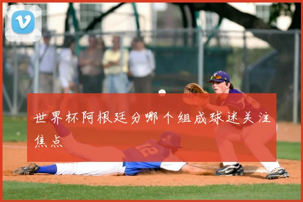 世界杯阿根廷分哪个组成球迷关注焦点