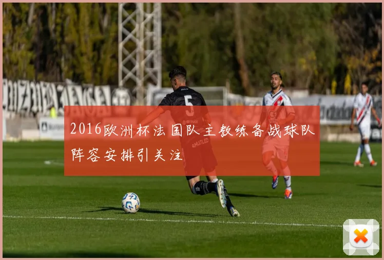 2016欧洲杯法国队主教练备战球队阵容安排引关注