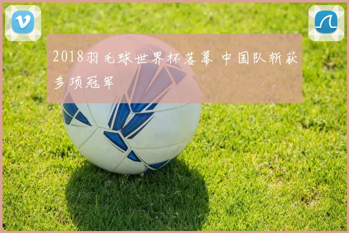 2018羽毛球世界杯落幕 中国队斩获多项冠军