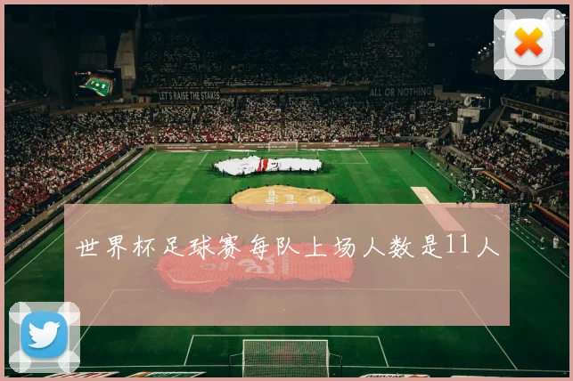 世界杯足球赛每队上场人数是11人